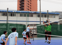 ﾊﾞﾚｰﾎﾞｰﾙ3.gif