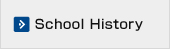School History
