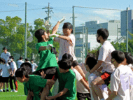 T6.gif
