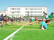 T3.gif