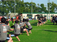 T10.gif