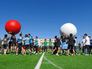T4.gif