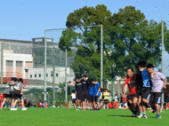 T7.gif