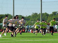 T8.gif