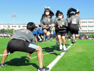 T2.gif