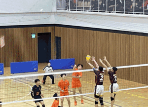 san72.gif