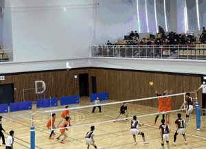 san77.gif