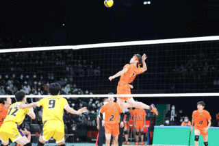 sanv01.gif