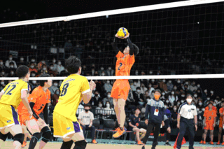 sanv02.gif