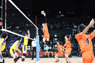 sanv03.gif