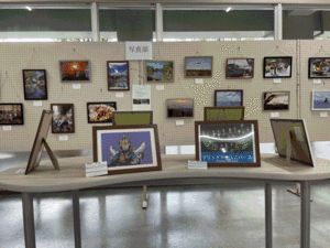 4_IMG_6658.gif