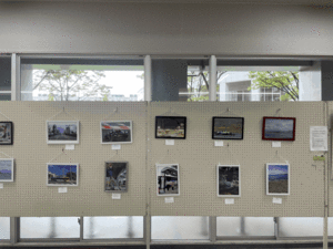 7_IMG_6662.gif