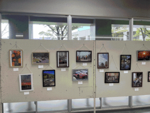 8_IMG_6655.gif