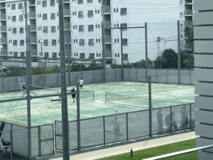 女子テニス.gif