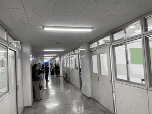 4.gif