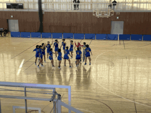 女子ハンド.gif