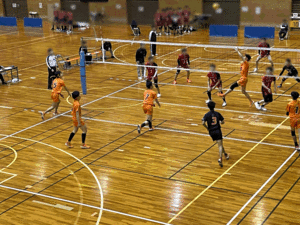 V1.gif