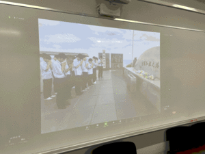 seika7.gif