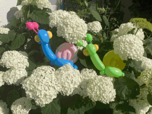あじさい2.gif