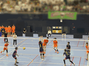 バレ２.gif