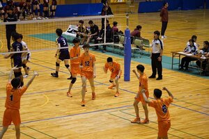 70583_0.jpg
