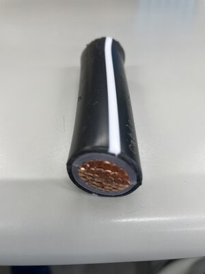image1.jpg