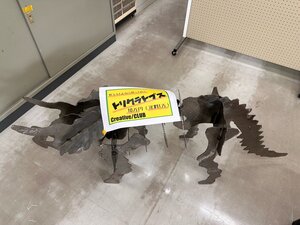 IMG_3329.jpg