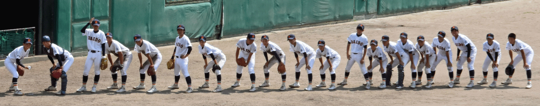 DSC_1485.gif