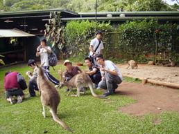 kanngaru