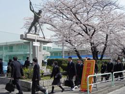 nyugaku5